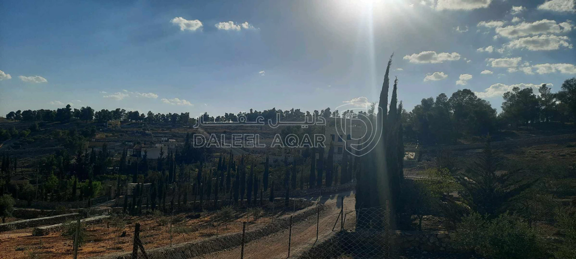 أرض في ارض مزرعة للبيع حمامه المفرق قرب نادرة  - 35,000 دأ - صورة 1