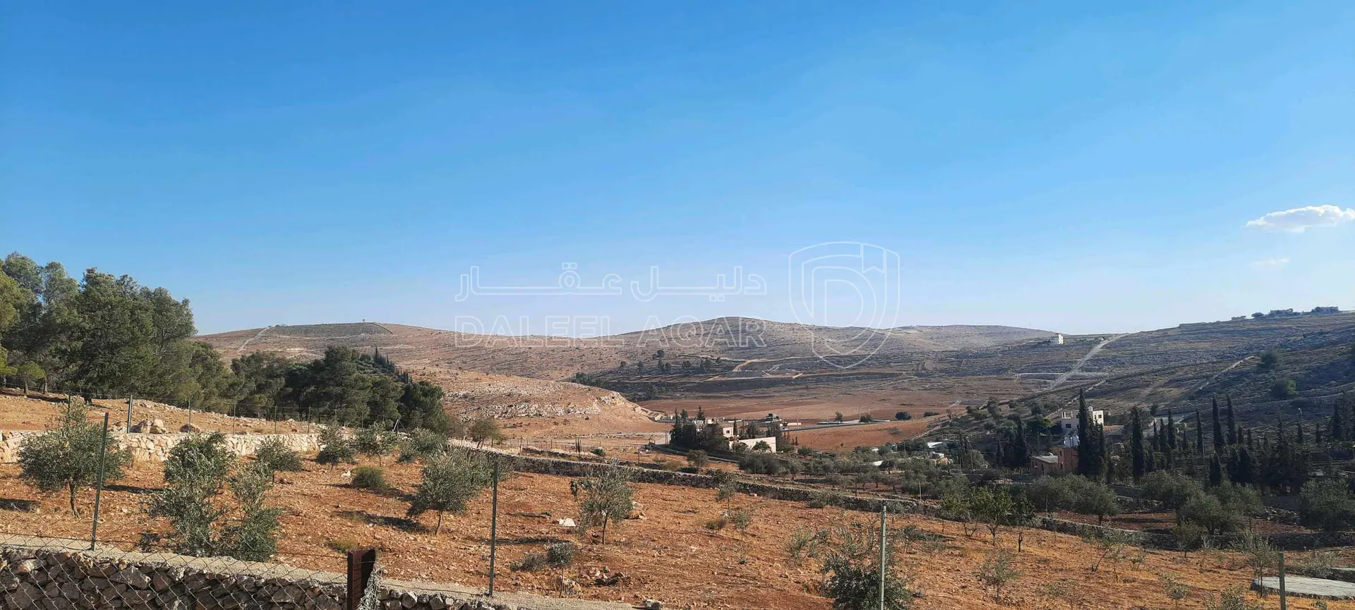 أرض في ارض مزرعة للبيع حمامه المفرق قرب نادرة  - 35,000 دأ - صورة 1