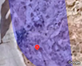 أرض - الزرقاء الجديده . دوار بادي . مسجد بادي الغويري  - 57200 دأ