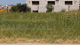 أرض - اربد الحي الشرقي البقعة الشرقية  - 102000 دأ