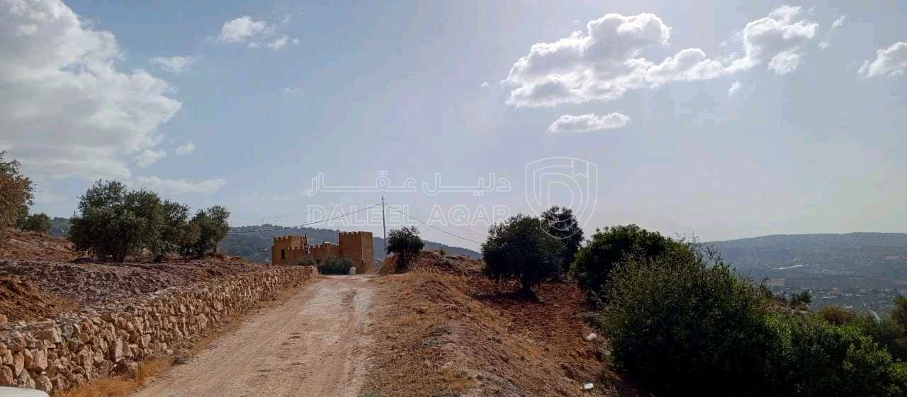 أرض في للبيع ارض بالسلط -  علان - حوض ام حمارة، مساحة الأ - 6,500 دأ - صورة 1