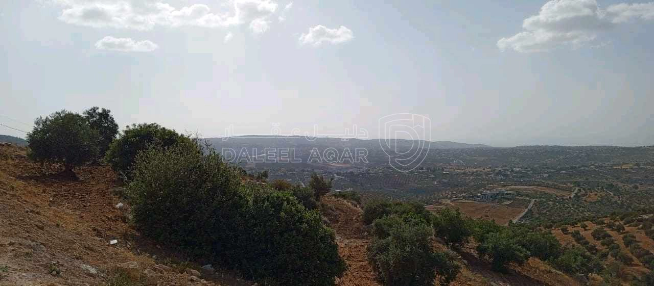 أرض في للبيع ارض بالسلط -  علان - حوض ام حمارة، مساحة الأ - 6,500 دأ - صورة 1