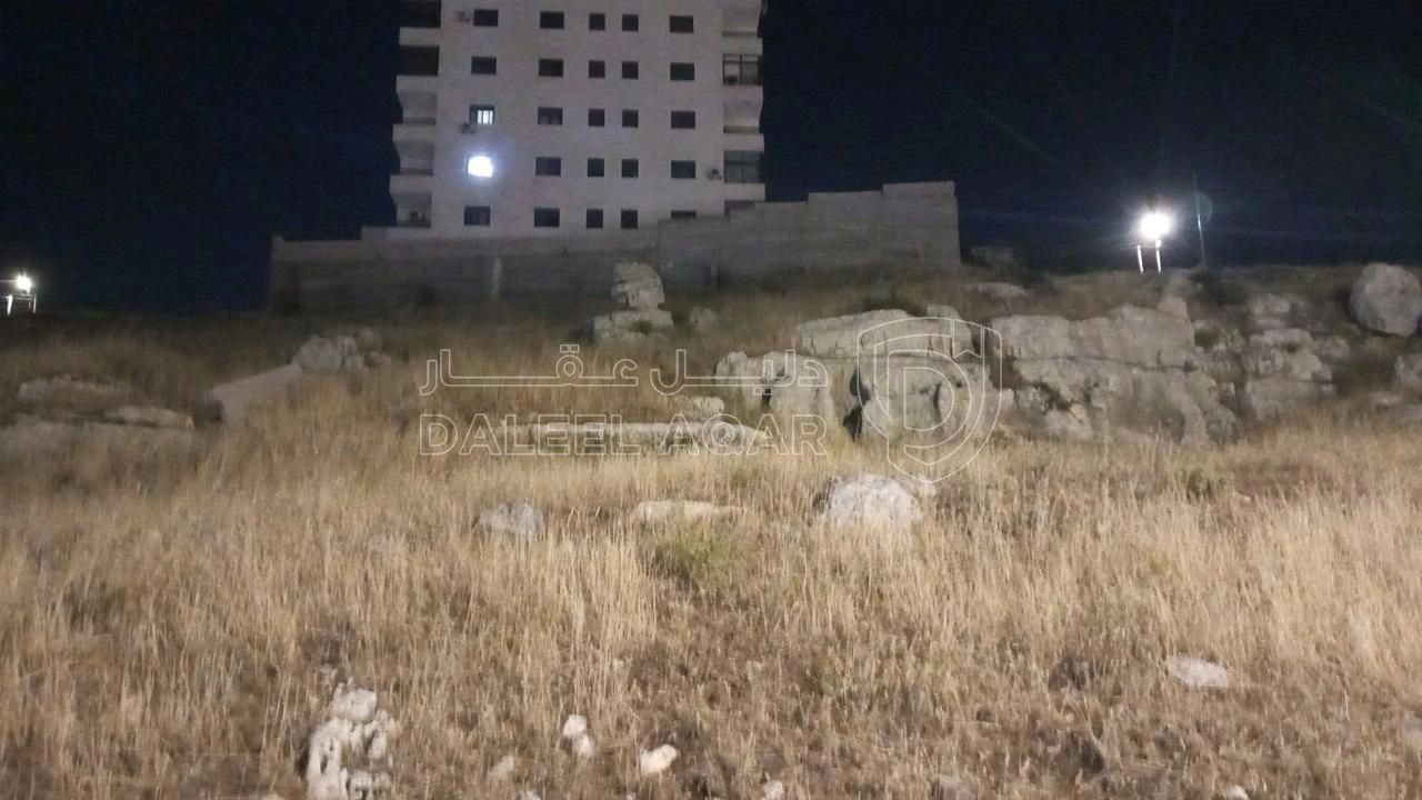 أرض في السلط-شفا العامريه  - 70,000 دأ - صورة 1