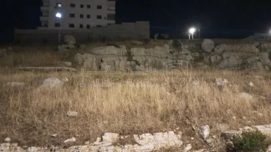 أرض في السلط-شفا العامريه  - 70,000 دأ - صورة NaN