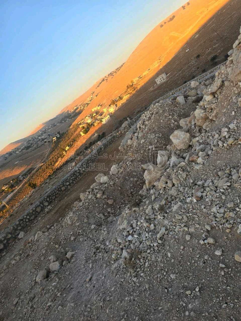 مزرعة/شاليه في شارع عين الرئيسي بعد المركز الصحي ١ كيلو متر  - 55,000 دأ - صورة 1