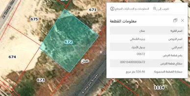 أرض في الياسمين ربوة عبدون شارع الحرم  - 166,000 دأ - صورة NaN