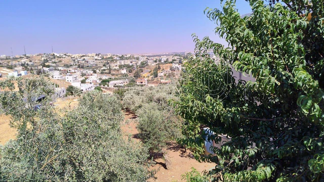 مزرعة/شاليه في عمان ناعور منطقه ام البساتين  - 185,000 دأ - صورة NaN