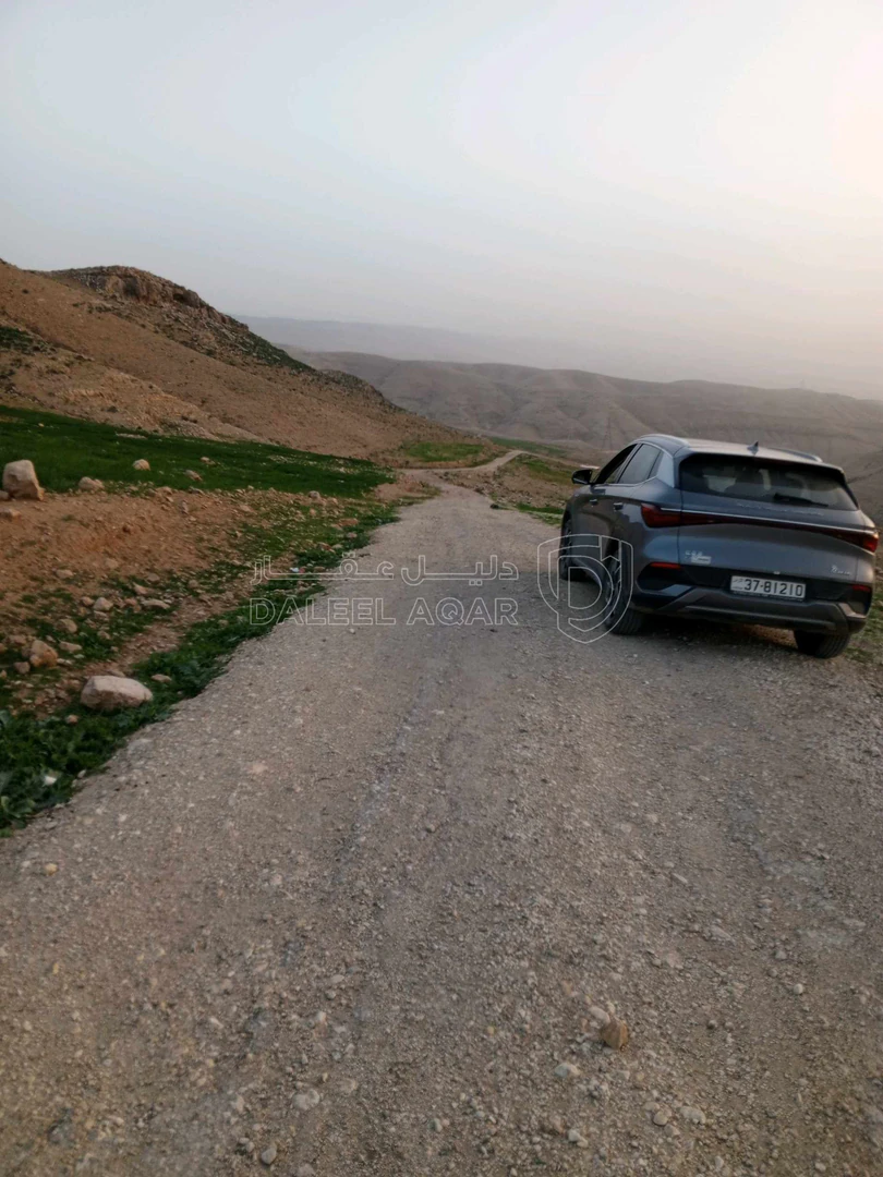 أرض في ارض في عراق الامير للبيع  - 250,000 دأ - صورة 1