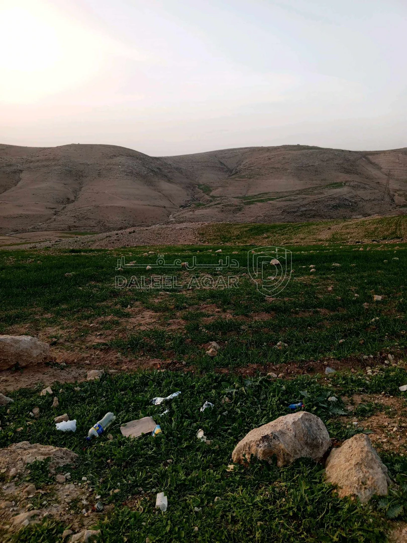 أرض في ارض في عراق الامير للبيع  - 250,000 دأ - صورة 1