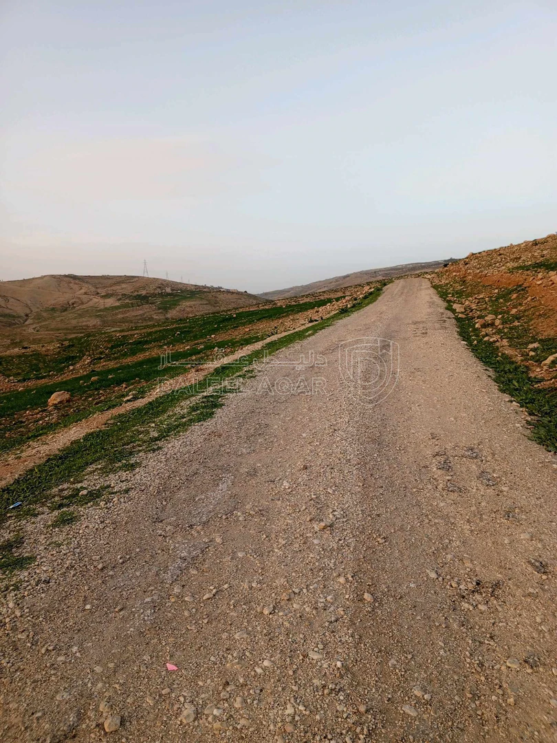 أرض في ارض في عراق الامير للبيع  - 250,000 دأ - صورة 1