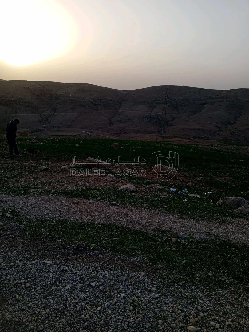 أرض في ارض في عراق الامير للبيع  - 250,000 دأ - صورة 1