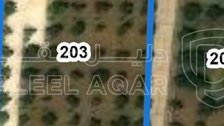أرض - ام العمد حوض ٥ ابو لحم  - 290000 دأ