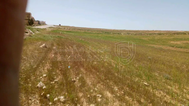 أرض - المفرق ايدون بني حسن  - 26000 دأ