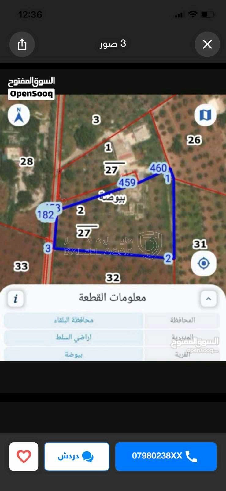 أرض في ارض ٦ دونمات للبيع في منطقه بيوضه السلط - 136,000 دأ - صورة 1