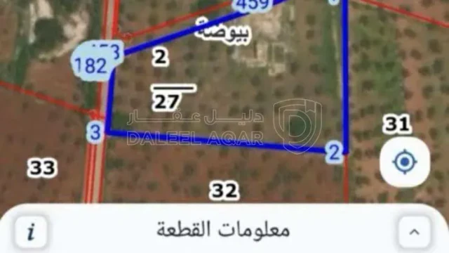 أرض في ارض ٦ دونمات للبيع في منطقه بيوضه السلط - 136,000 دأ - صورة 1