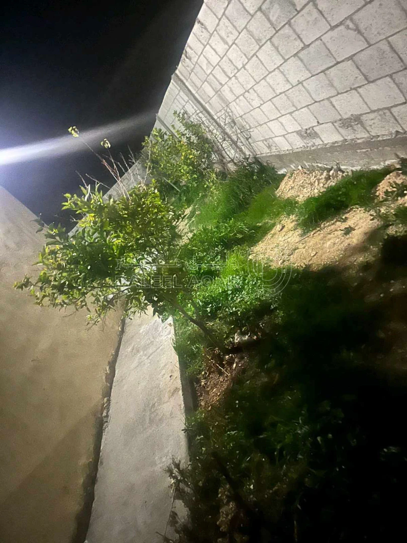 فيلا/منزل في السخنة القحويان - 55,000 دأ - صورة 1