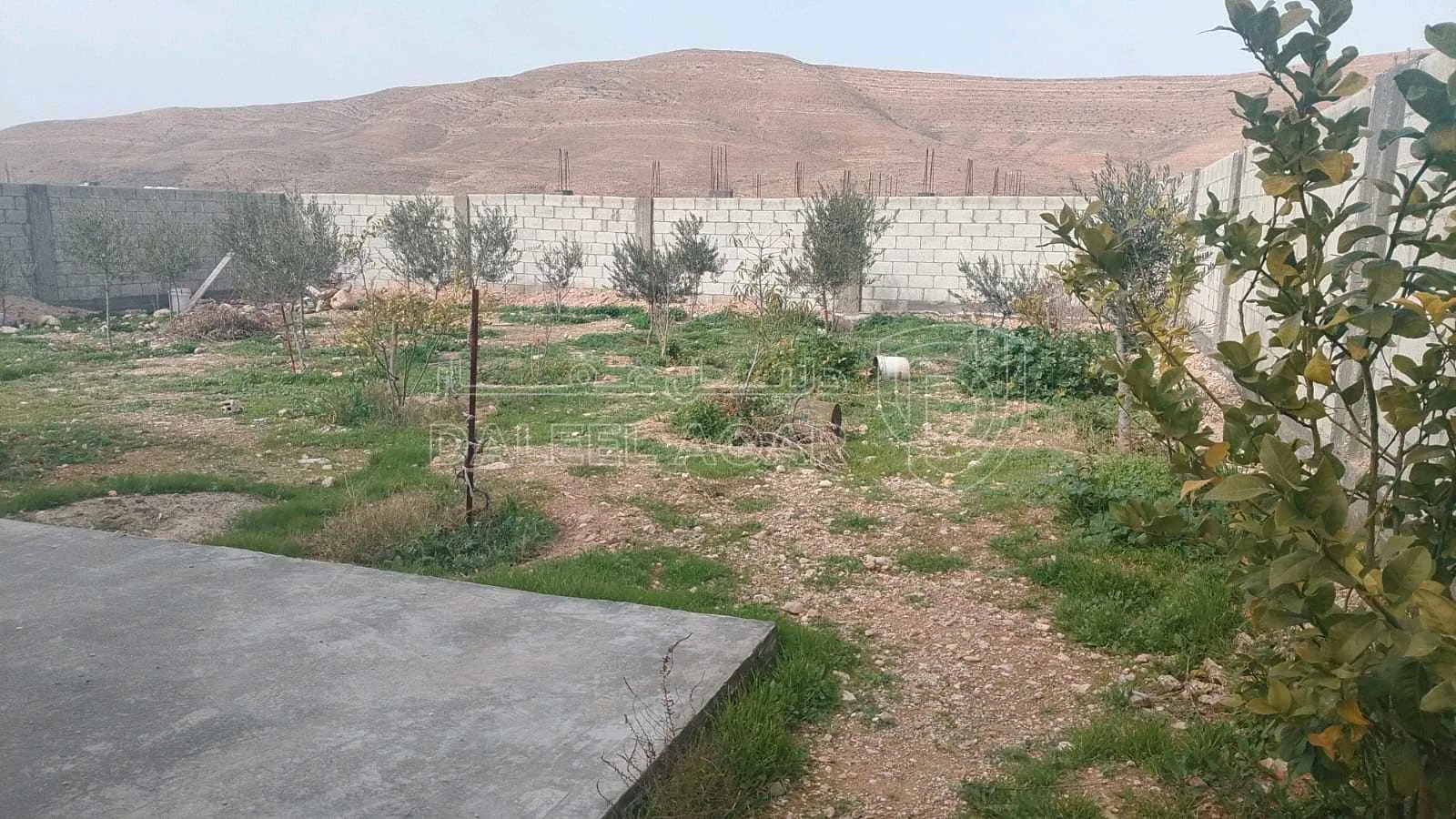 فيلا/منزل في السخنة القحويان - 55,000 دأ - صورة 1