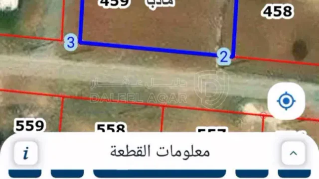 أرض - ارض للبيع في مادبا - 30000 دأ