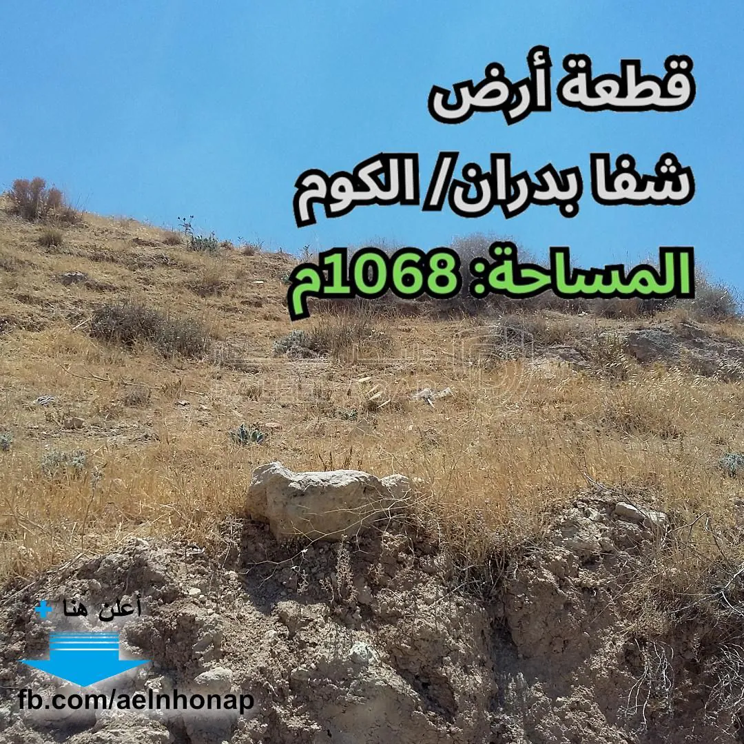 أرض في شفا بدران - خلف مدارس و روضة العلوم التطبيقية - 193,000 دأ - صورة 1