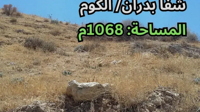أرض - شفا بدران - خلف مدارس و روضة العلوم التطبيقية - 193000 دأ