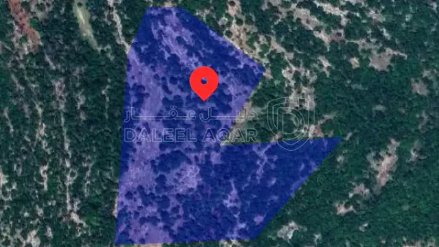 أرض في عجلون/باعون خارج حدود البلدية - 70,000 دأ - صورة 1