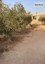 فيلا/منزل في منزل في منطقه الباعج  - 21,000 دأ - صورة NaN