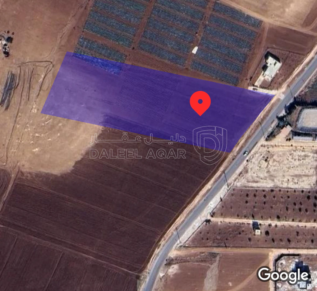 أرض في أراضي الرمثا  - 190,000 دأ - صورة 1