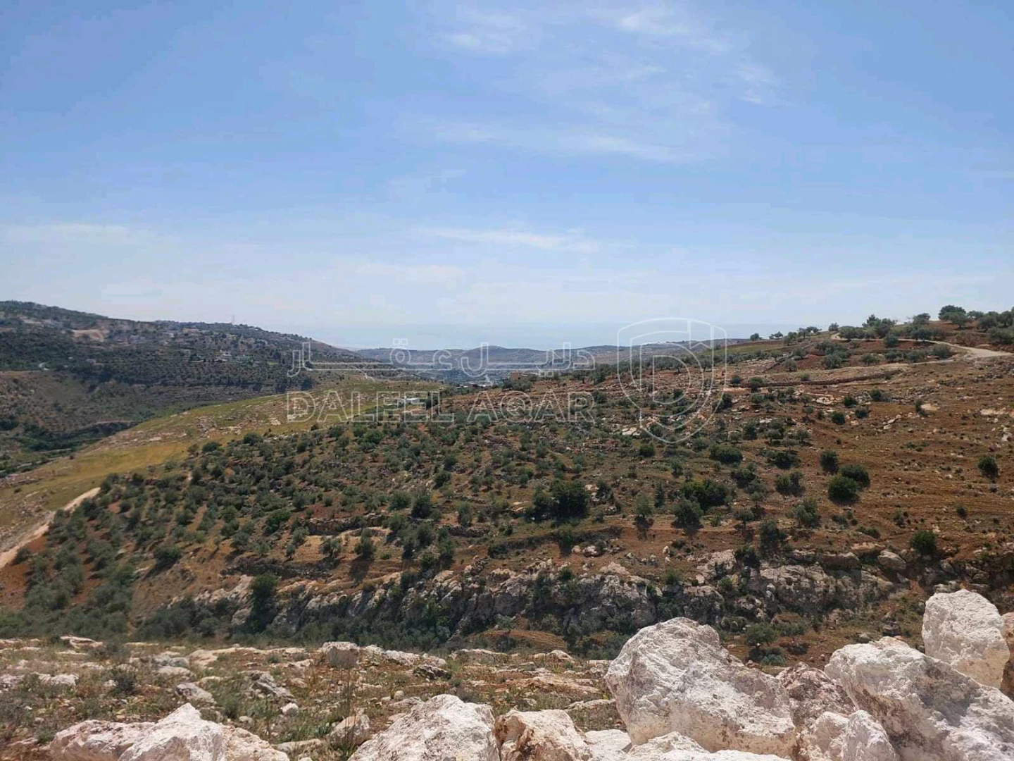 أرض في مشروع future land 3 / قطعة بتنظيم فلل اطلالة غربية - 145,000 دأ - صورة 1