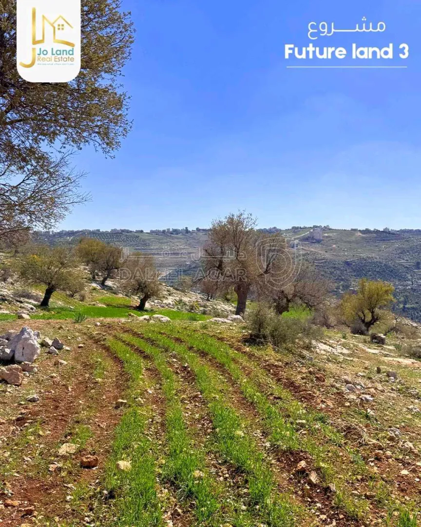 أرض في مشروع future land 3 / قطعة بتنظيم فلل اطلالة غربية - 145,000 دأ - صورة 1
