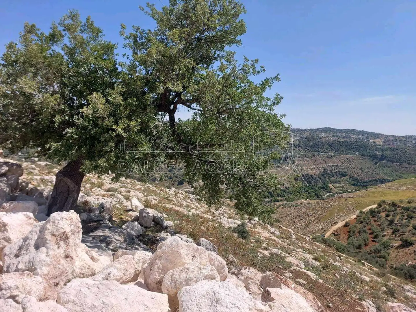 أرض في مشروع future land 3 / قطعة بتنظيم فلل اطلالة غربية - 145,000 دأ - صورة 1