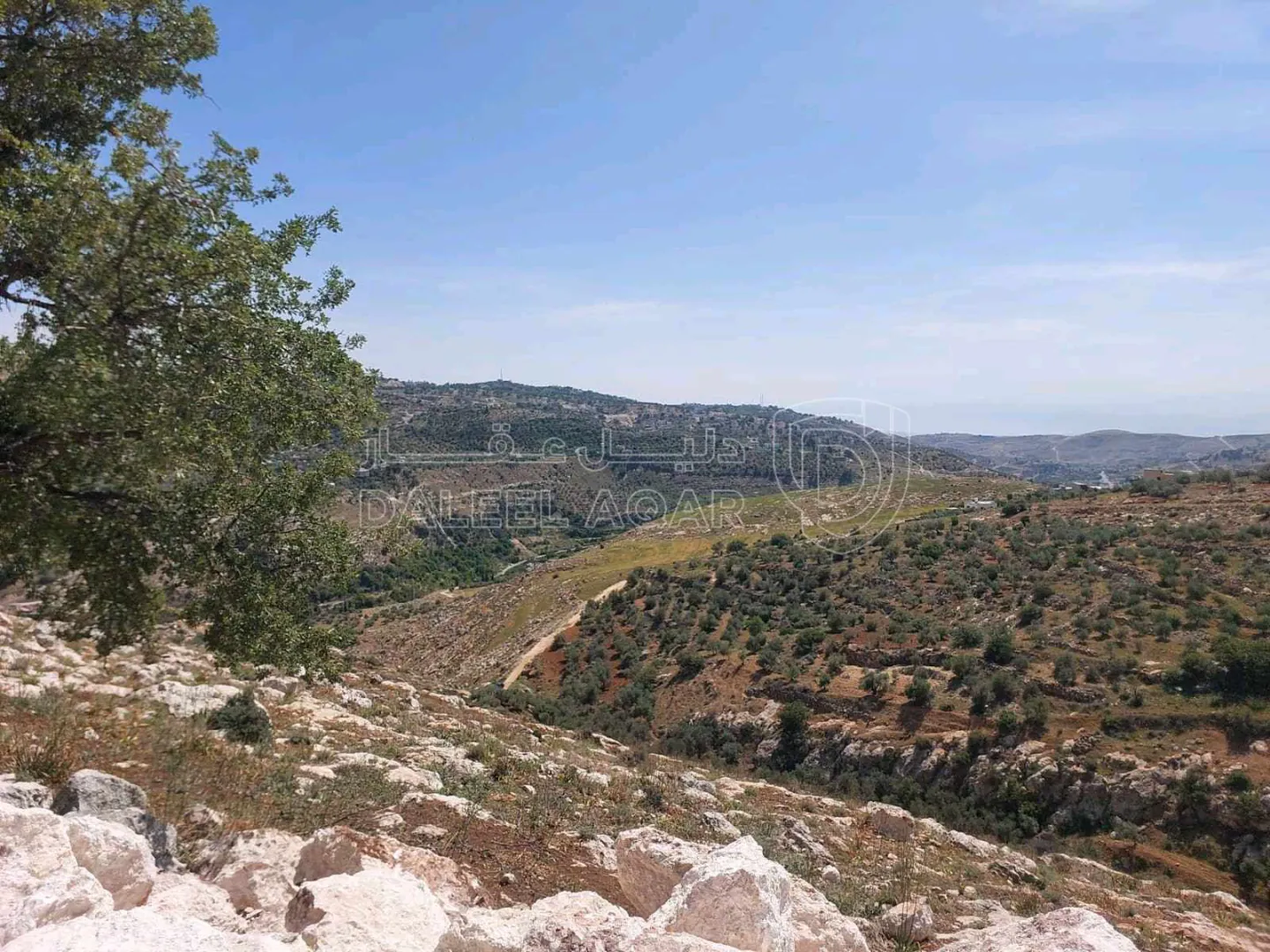 أرض في مشروع future land 3 / قطعة بتنظيم فلل اطلالة غربية - 145,000 دأ - صورة 1