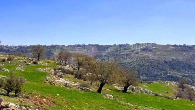 أرض - مشروع future land 3 / قطعة بتنظيم فلل اطلالة غربية - 165000 دأ