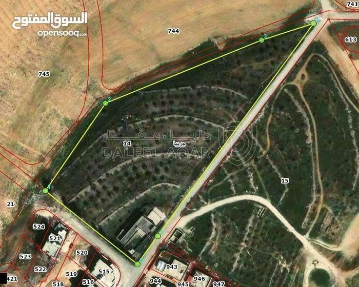 أرض في جريبا رصيفة - 350,000 دأ - صورة 1