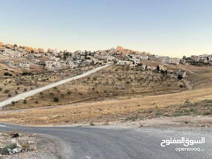 أرض في جريبا رصيفة - 350,000 دأ - صورة 1