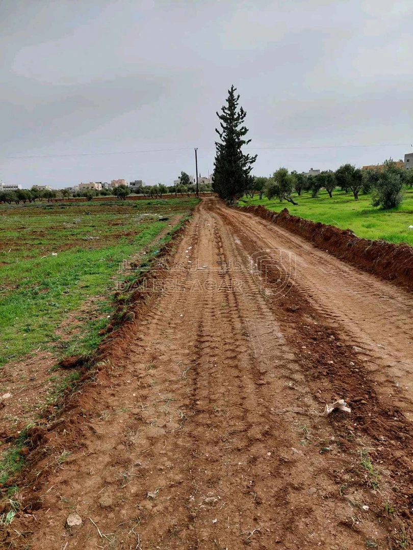 أرض في جرينه الغربي بالقرب من مسجد عباد الرحمن - 150,000 دأ - صورة 1