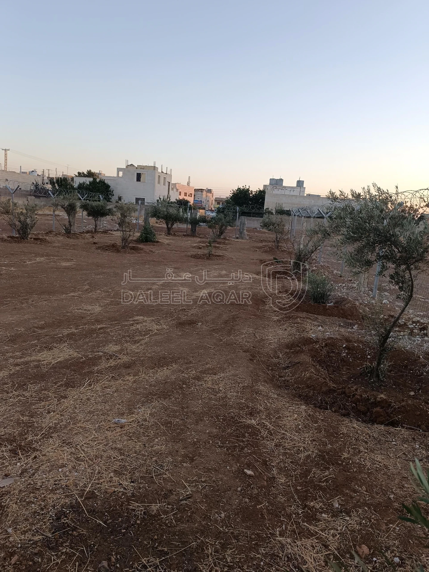 أرض في عمان جاوا قطعة على شارعين - 80,000 دأ - صورة 1