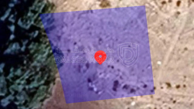 أرض - السخنة - 13000 دأ