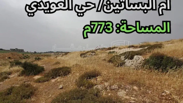أرض -  حي العويدي - تبعد 650م عن مسجد عتبان بن مالك - 84000 دأ