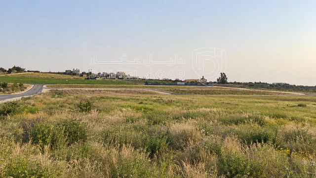 أرض في رض مميزة للبيع – شارع مادبا الغربي 🏡 - 66,000 دأ - صورة NaN