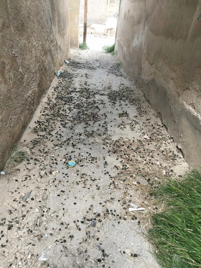 فيلا/منزل في الزرقاء الجديدة حي الأمير محمد قرب المسلخ القديم - 35,000 دأ - صورة 1