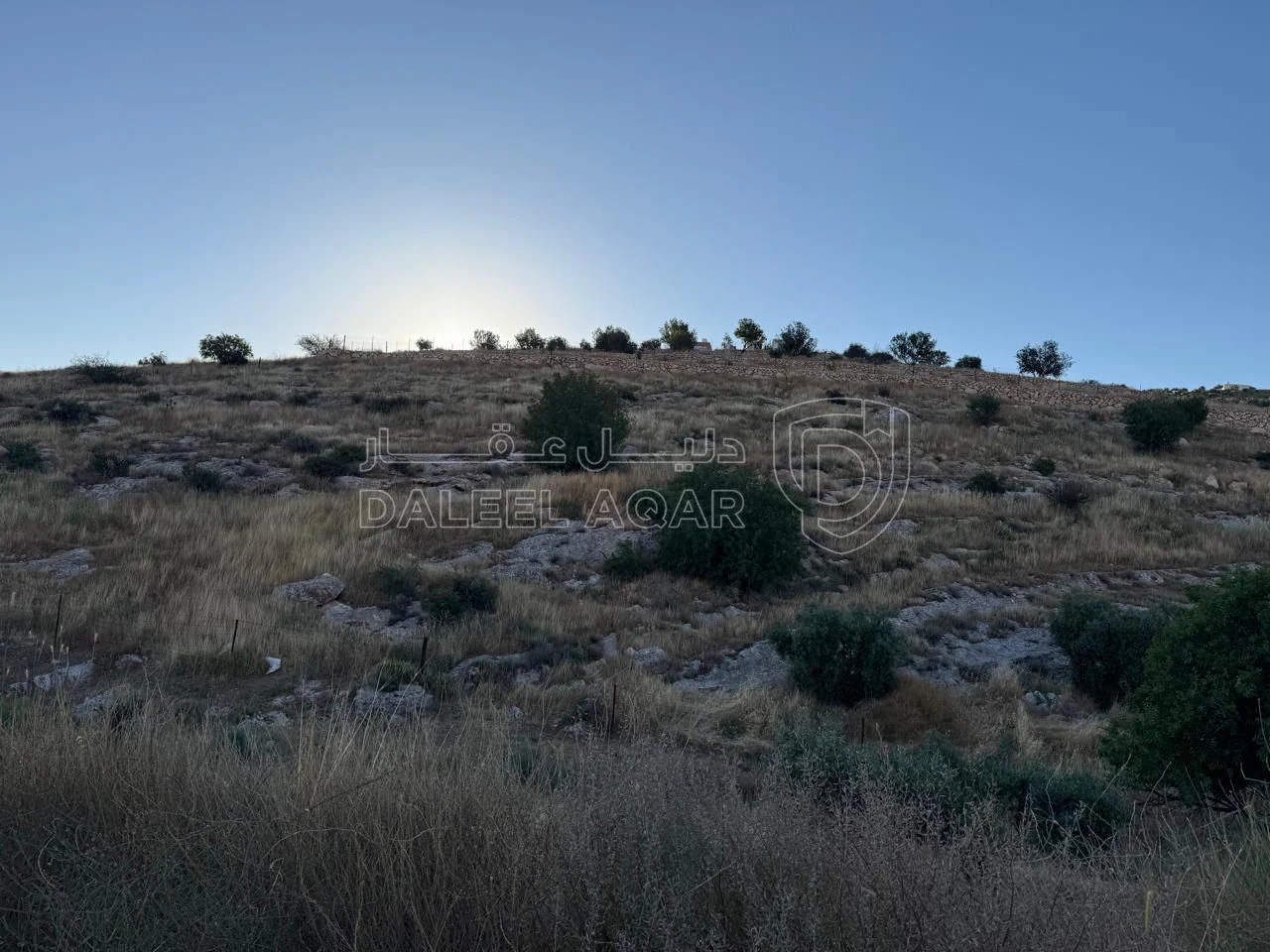 أرض في النعيمة وادي الورد  - 26,000 دأ - صورة 1