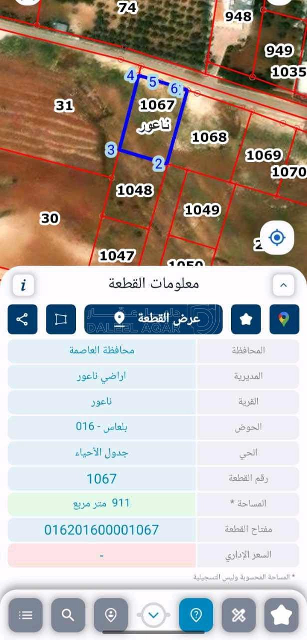 أرض في ارض قوشان مستقل في ناعور  بلعاس قرب مطعم زوار - 300,000 دأ - صورة 1