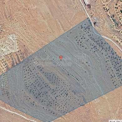 أرض في 74 دونم للبيع في جلعد السلط - 450,000 دأ - صورة 1