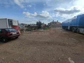 أرض في قطعتين ارض سكنيتين للبيع معا في الجويدة   - 300,000 دأ - صورة NaN