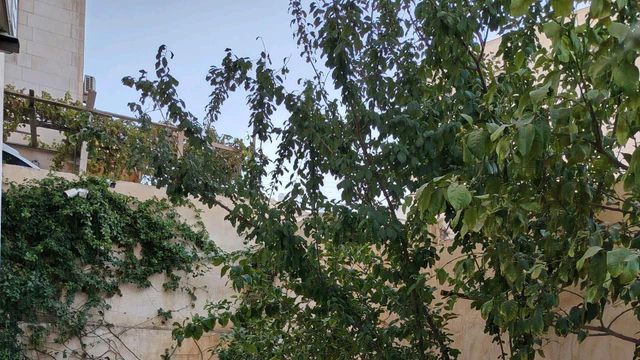 شقة في عمان ضاحية الاستقلال قرب مسجد عثمان - 53,000 دأ - صورة NaN