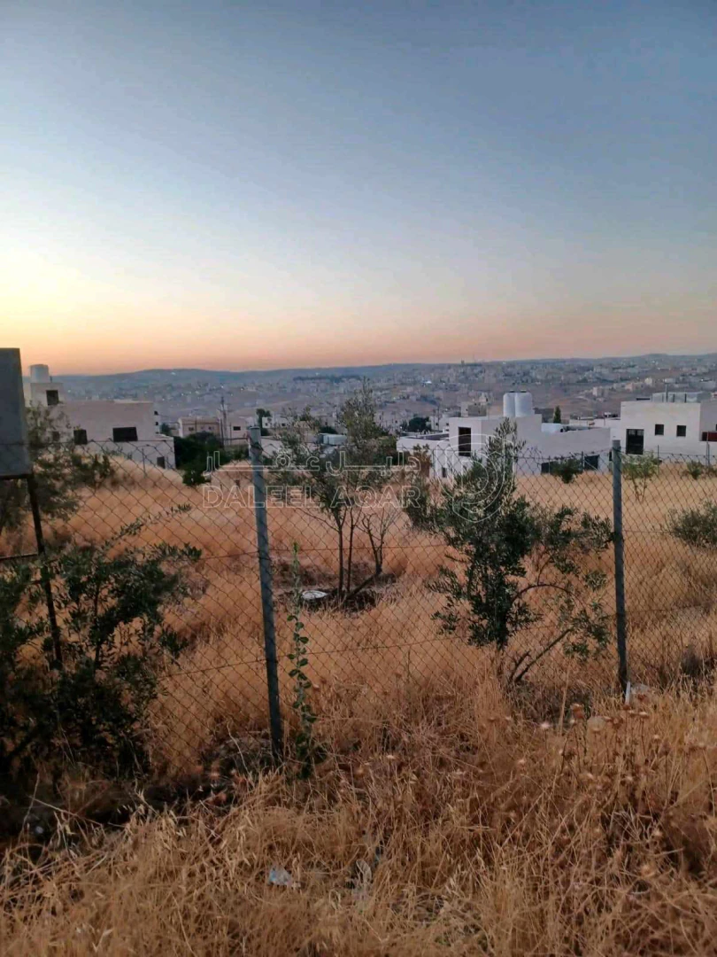 أرض في مرج الحمام الباحث / الطبقه - 300,000 دأ - صورة 1