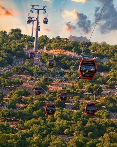 أرض في عجلون  - 60,000 دأ - صورة 1