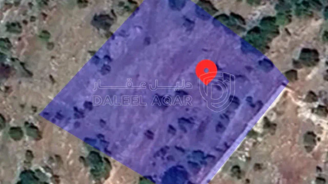 أرض - عجلون  - 60000 دأ