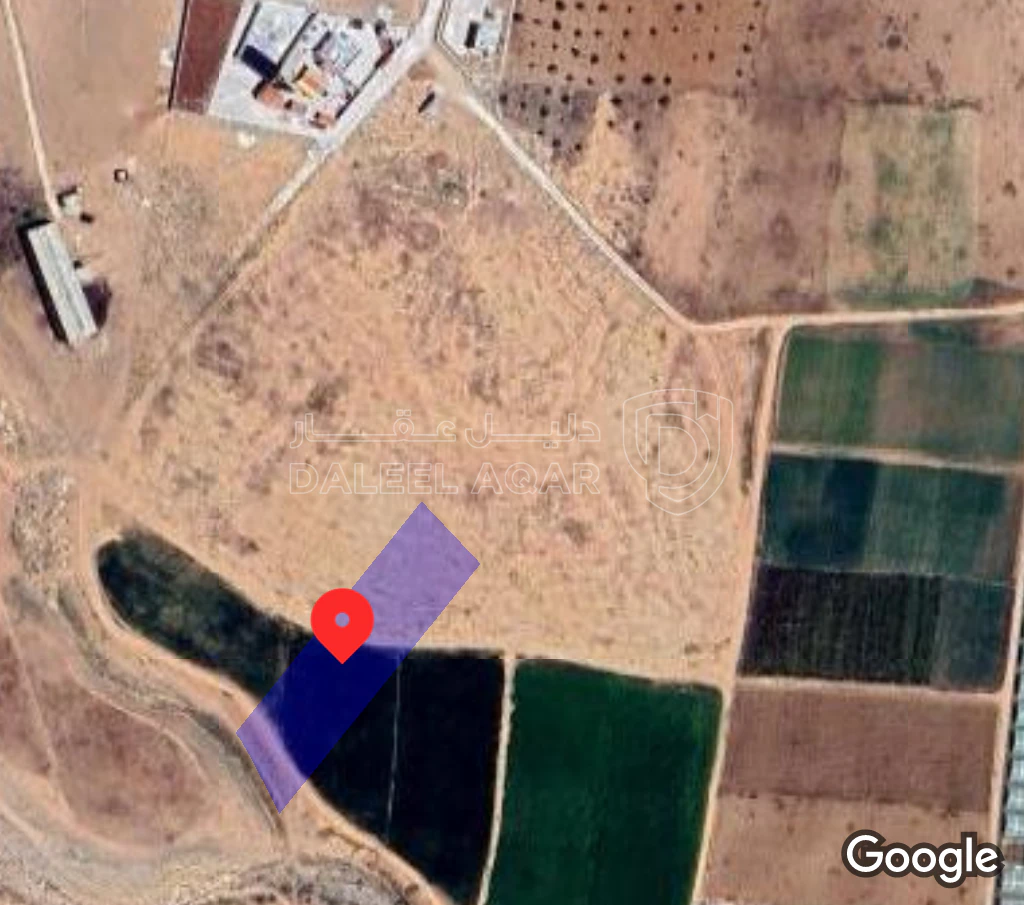 أرض في بلعما منطقة النمره - 19,000 دأ - صورة 1