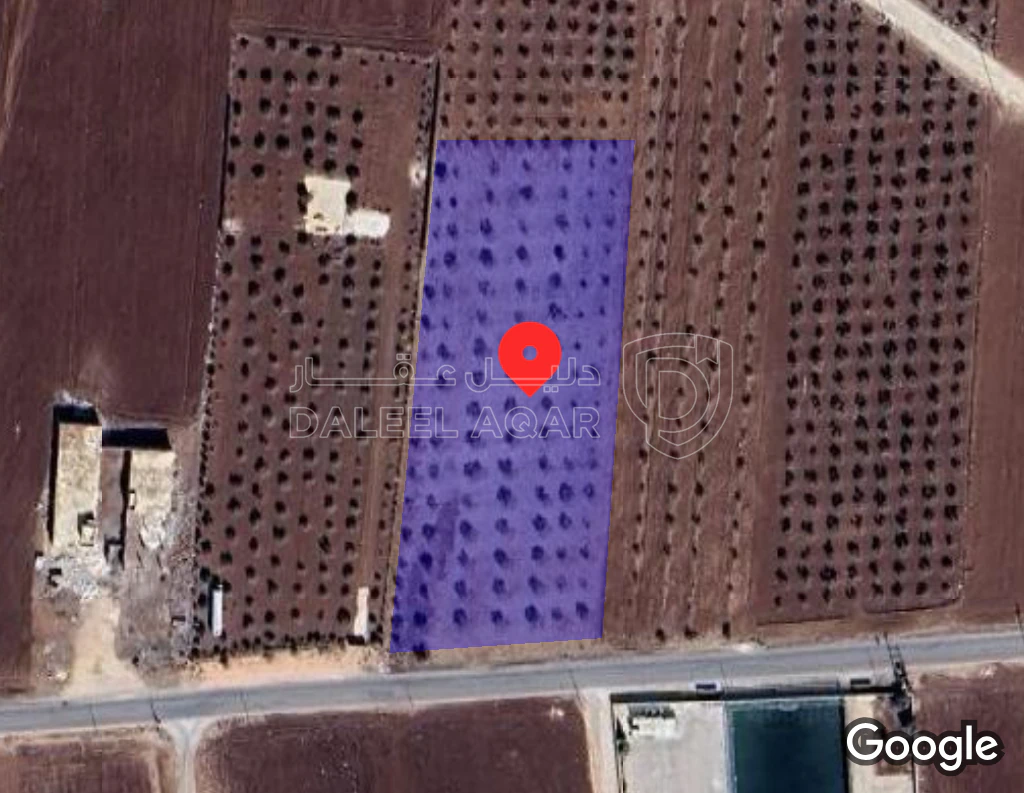 أرض في irbid _alsareh - 65,000 دأ - صورة 1